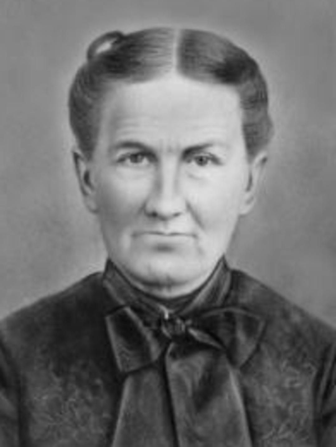 Permellia Huggins (1841 - 1916) Profile